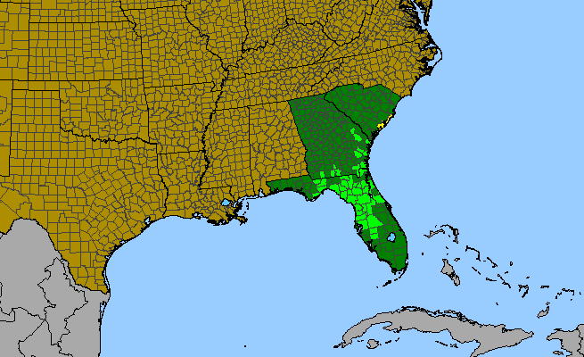 The range of Dyschoriste humistrata